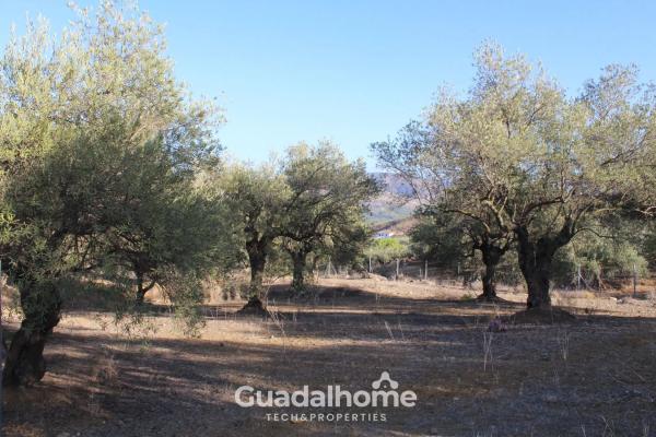 Terreno en Diseminado Poligono 18, 8