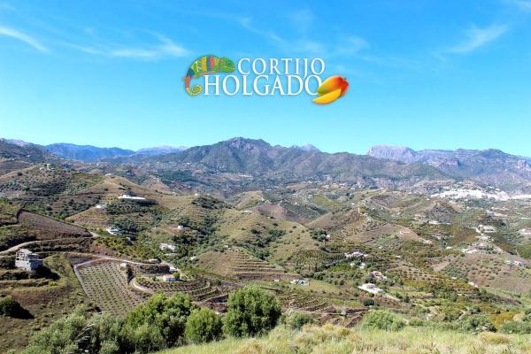 Terreno en camino de Frigiliana, 1