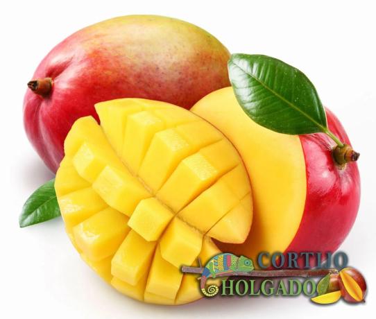 Terreno en camino de Frigiliana, 1