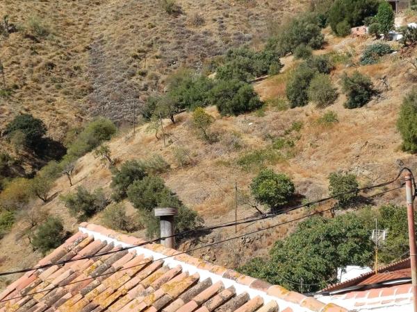 Terreno en Moclinejo