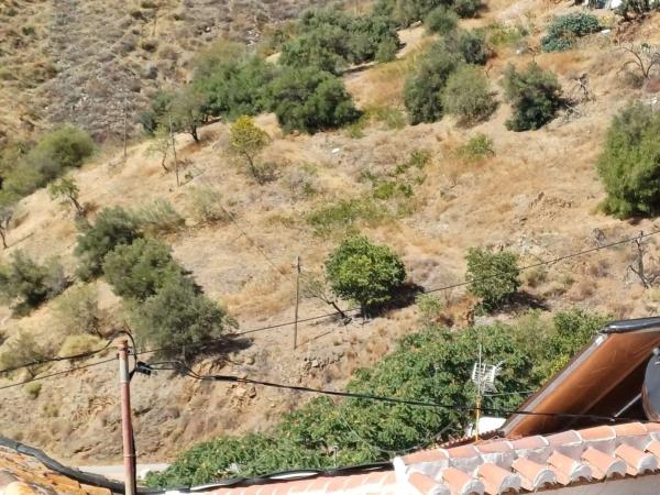 Terreno en Moclinejo