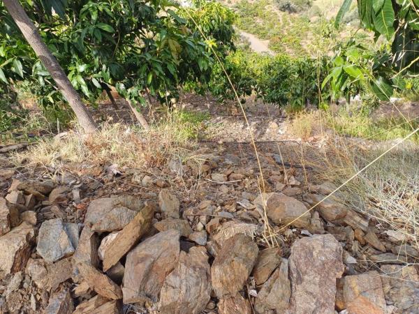 Terreno en Almáchar