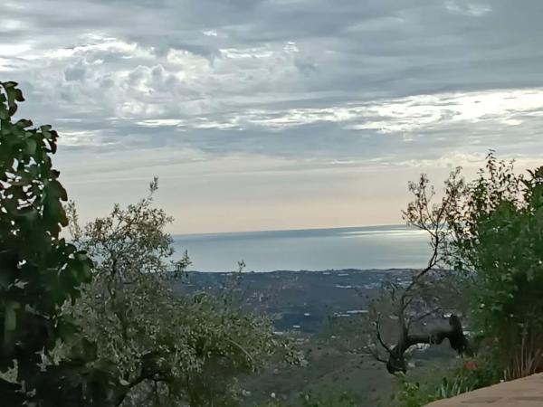 Terreno en Macharaviaya