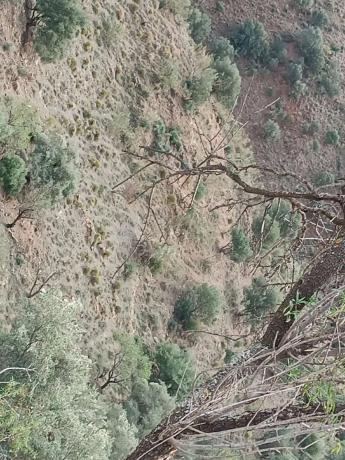 Terreno en Macharaviaya
