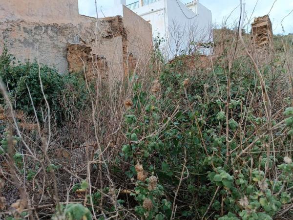 Terreno en Macharaviaya