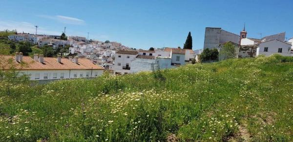Terreno en avenida Acacias