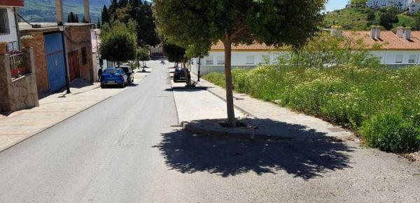 Terreno en avenida Acacias