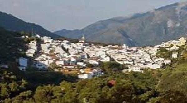 Terreno en avenida Acacias