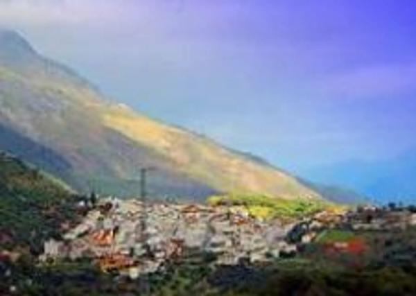 Terreno en avenida Acacias