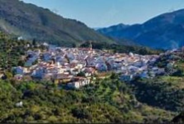 Terreno en avenida Acacias