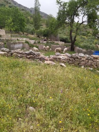 Terreno en Ma-8401 s/n