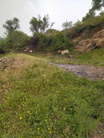 Terreno en Ma-8401 s/n