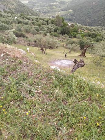 Terreno en Ma-8401 s/n