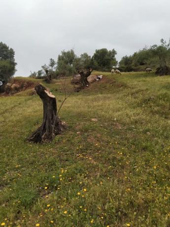 Terreno en Ma-8401 s/n