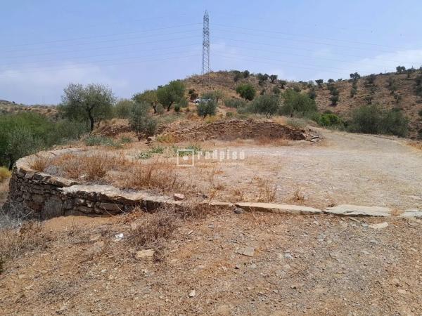 Terreno en camino Real de la Torre