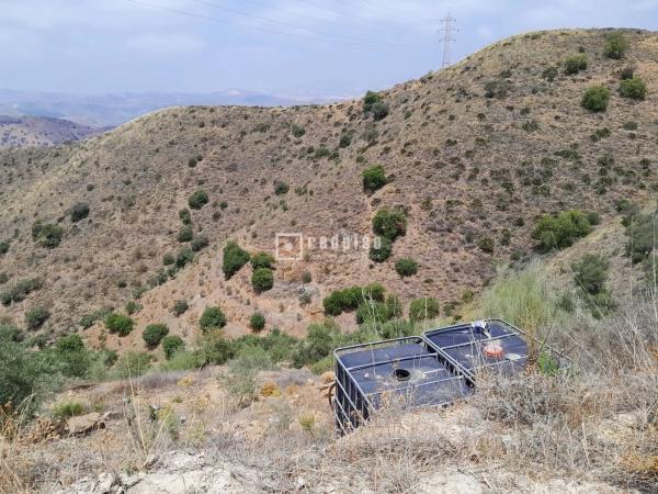 Terreno en camino Real de la Torre