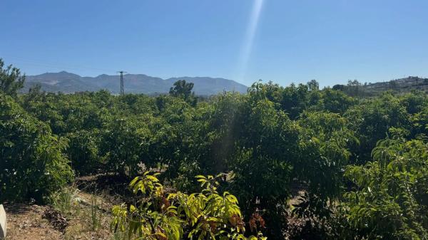 Terreno en Capellanía - Retamar