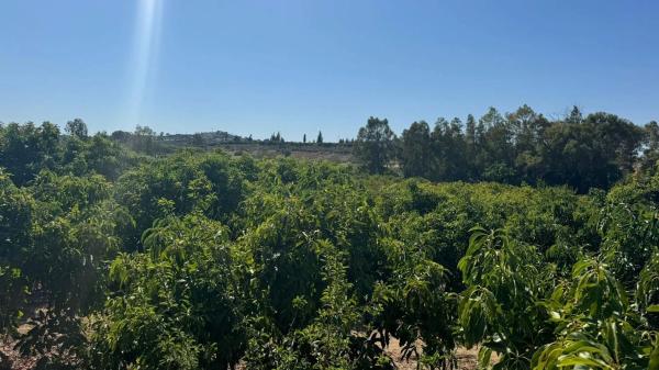 Terreno en Capellanía - Retamar