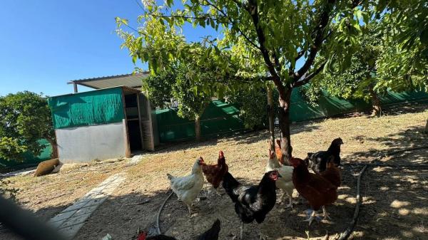 Terreno en Capellanía - Retamar