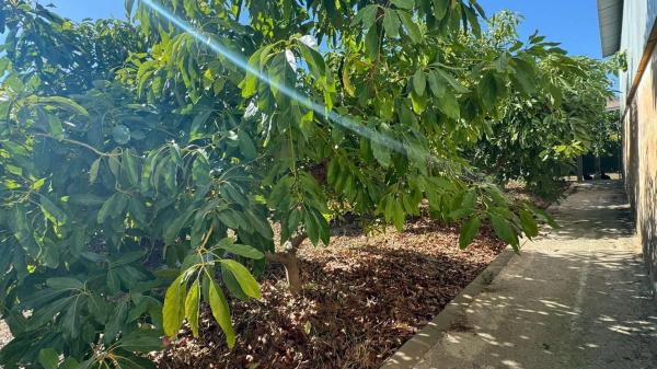 Terreno en Capellanía - Retamar