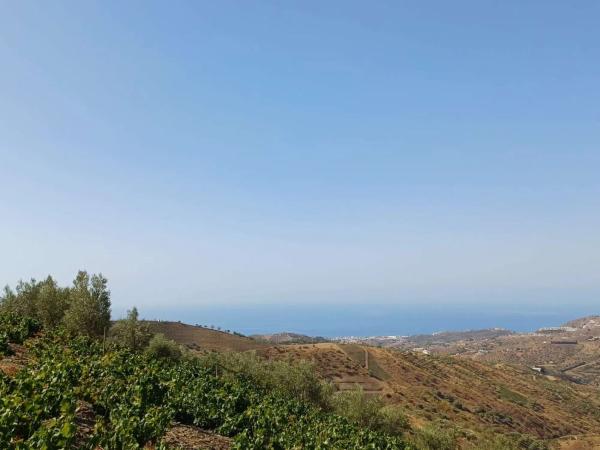 Terreno en Moclinejo