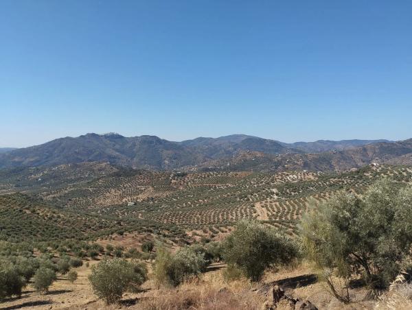 Terreno en Urbanizacion Ur1ad Embalse