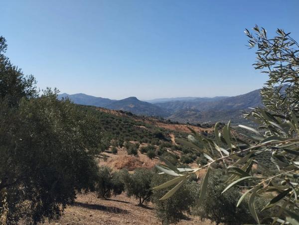 Terreno en Urbanizacion Ur1ad Embalse