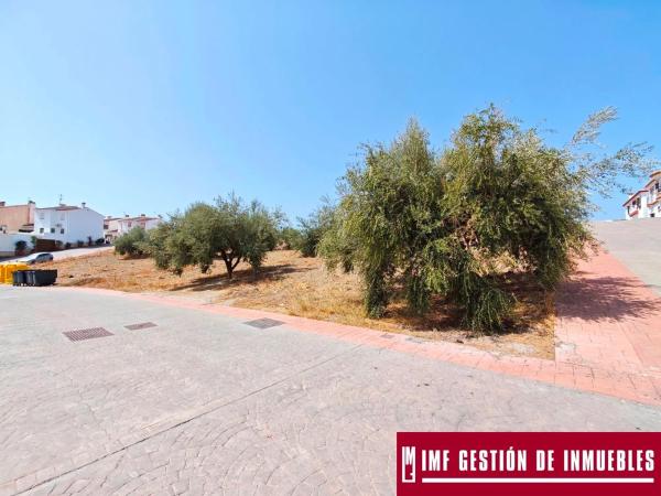 Terreno en calle Haza del Olivo, 1