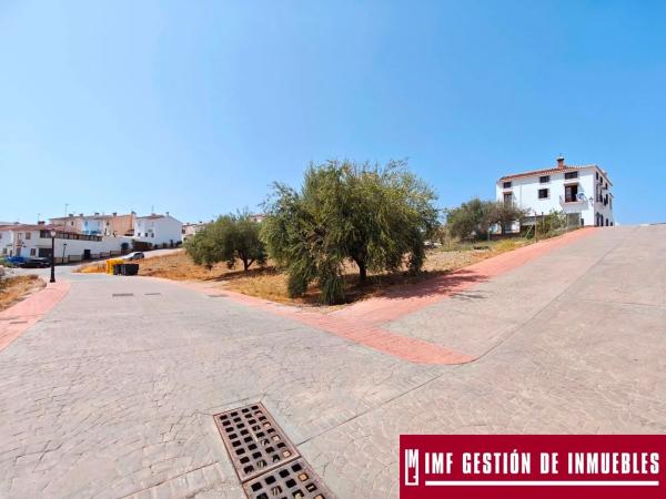 Terreno en calle Haza del Olivo, 1