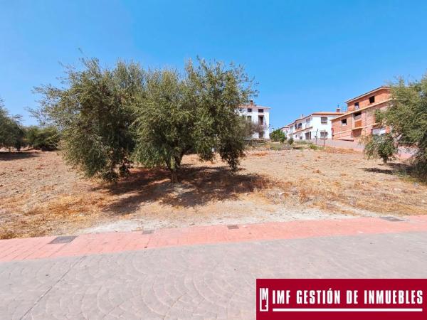 Terreno en calle Haza del Olivo, 13