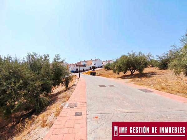 Terreno en calle Haza del Olivo, 13