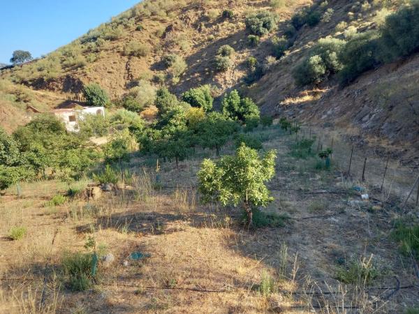 Terreno en arroyo de guaperos s/n