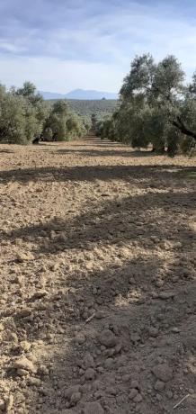 Terreno en via Málaga-Córdoba, 2