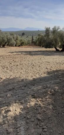 Terreno en via Málaga-Córdoba, 2