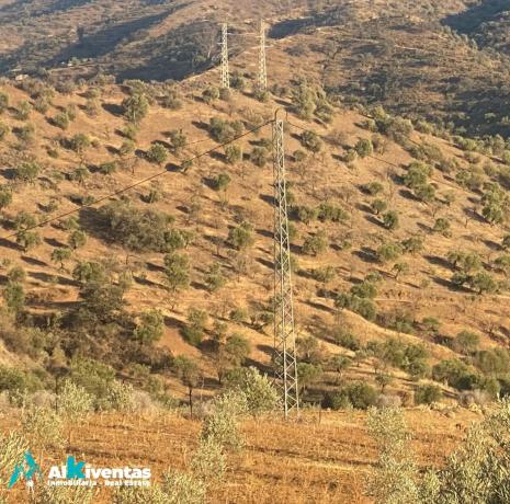 Terreno en las lomas