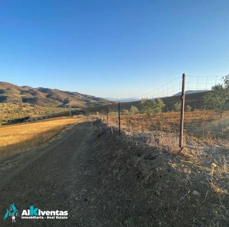 Terreno en las lomas