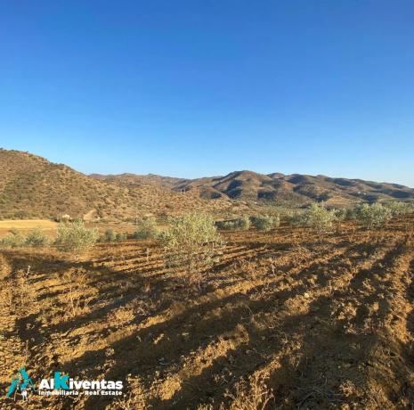 Terreno en las lomas