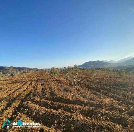Terreno en las lomas