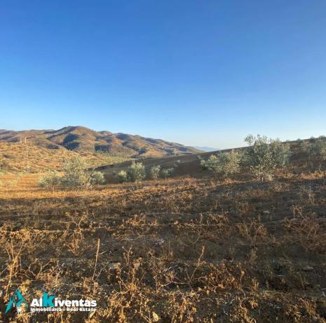 Terreno en las lomas