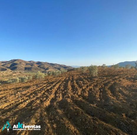 Terreno en las lomas