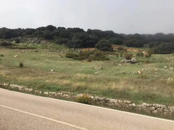 Terreno en Sierra Caramolo