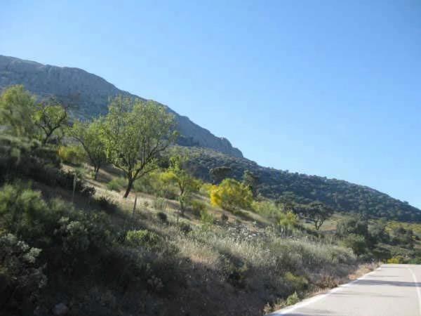 Terreno en Sierra Caramolo