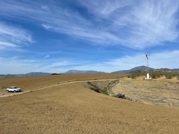 Terreno en ronda del Oeste s/n