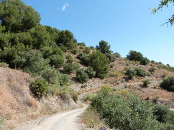 Terreno en camino Casa de los Majanales