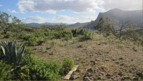 Terreno en camino de la Fuente de La Zarza