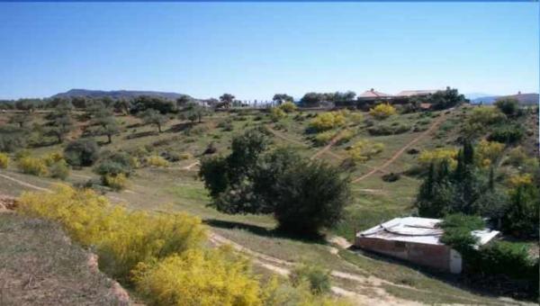 Terreno en calle Tomillar
