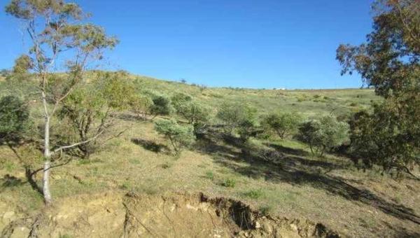 Terreno en camino de la Fuente de La Zarza