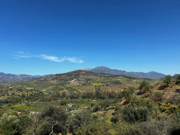 Terreno en Guaro Viejo, 2