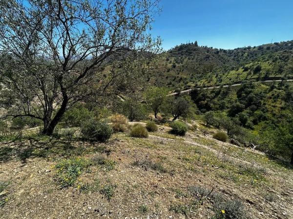 Terreno en Guaro Viejo, 2