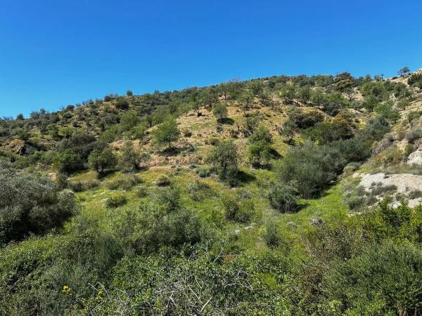 Terreno en Guaro Viejo, 2